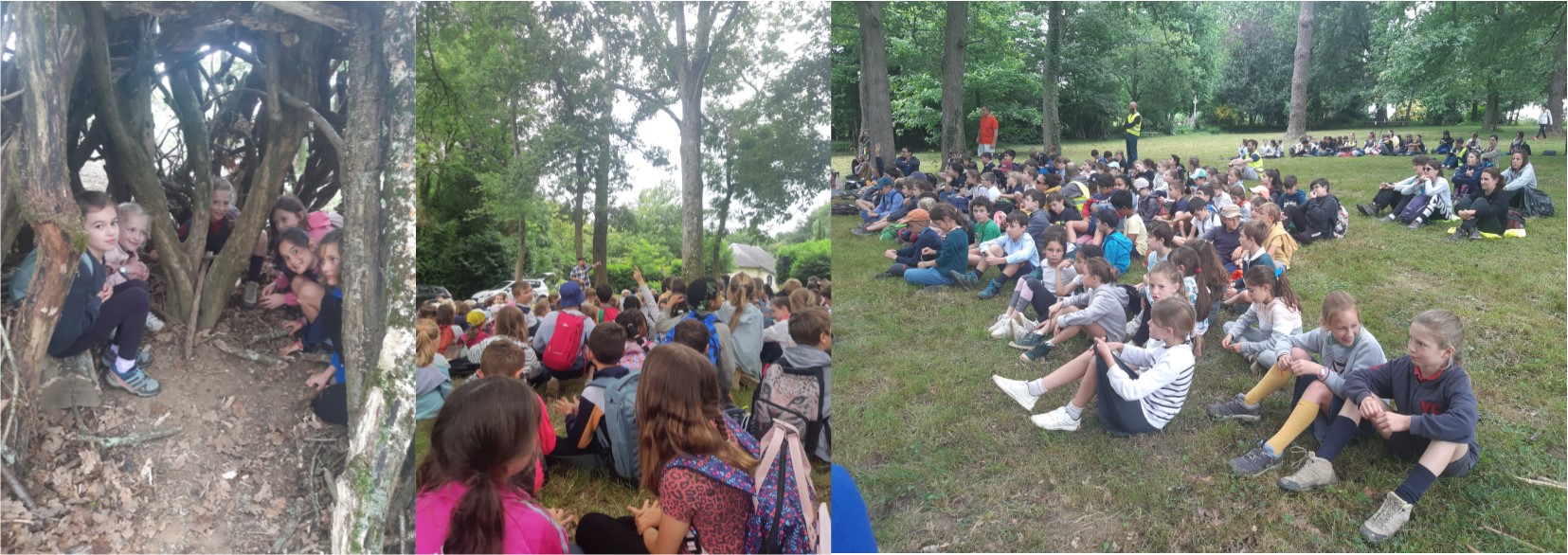 Marche dans la bois Sauvagnon  conteur