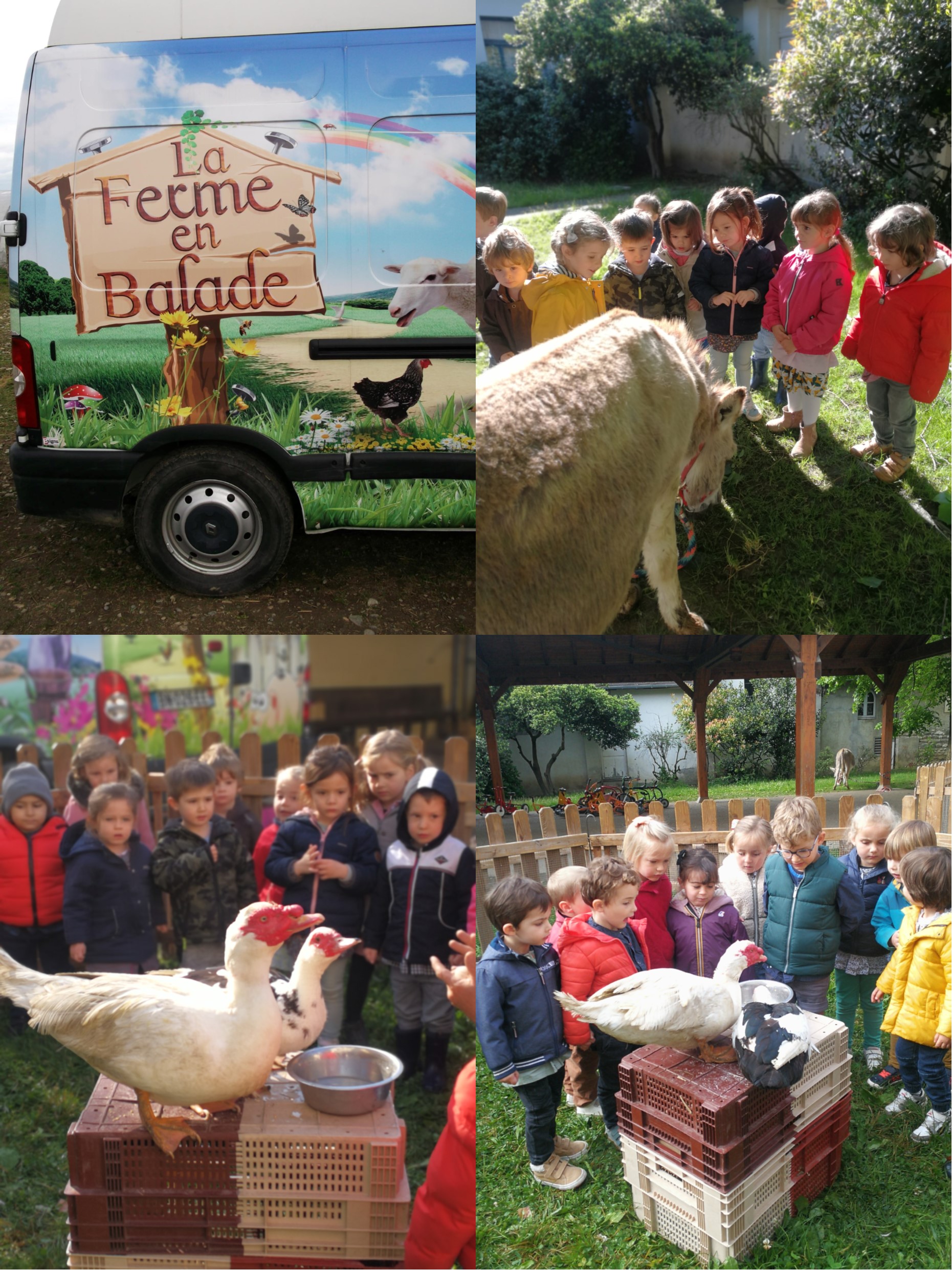 2024 04 29 ferme en balade